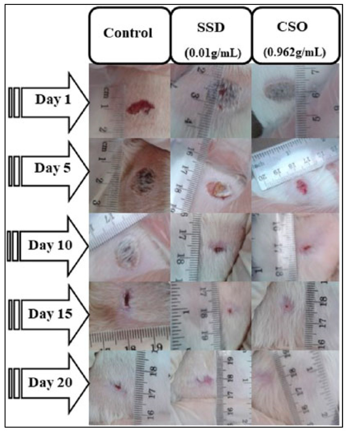 Figure 5