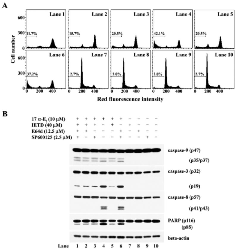 Fig. 10