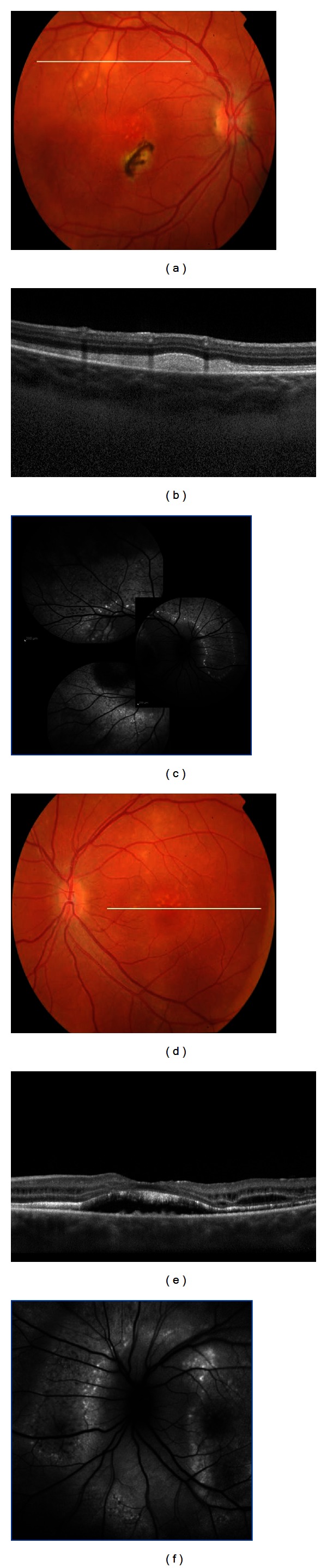 Figure 5