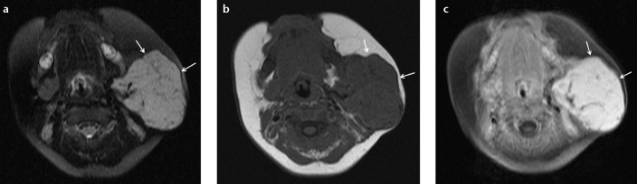 Figure 2. a–c.