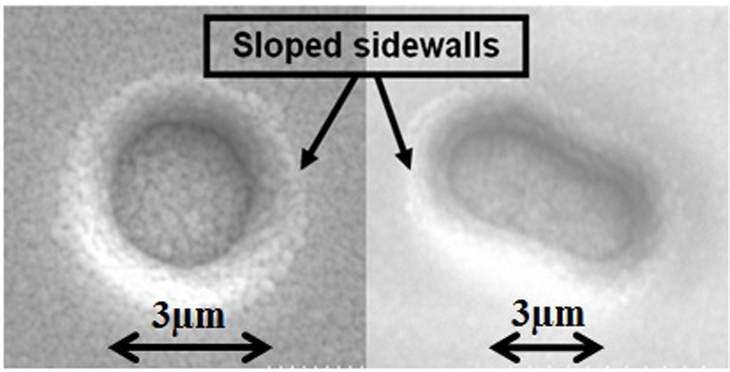 Fig. 5