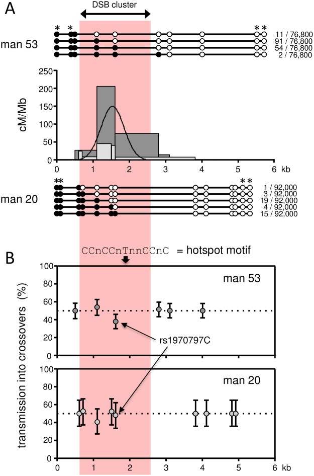 Fig 3