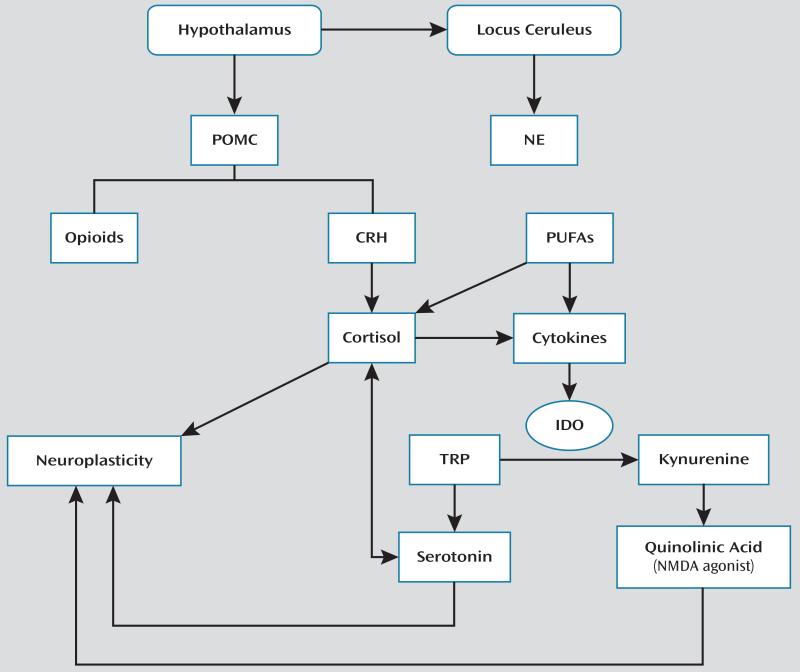 FIGURE 1