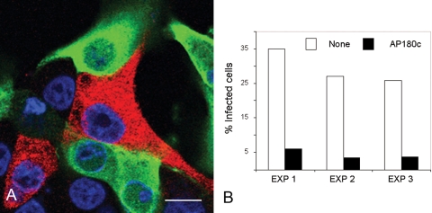 FIG. 1.