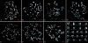 F<sc>IG</sc>. 4.—
