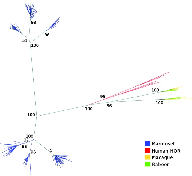 FIG. 3.—