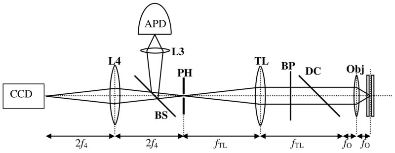 Fig. 3