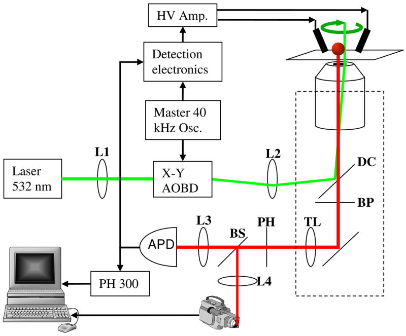 Fig. 1