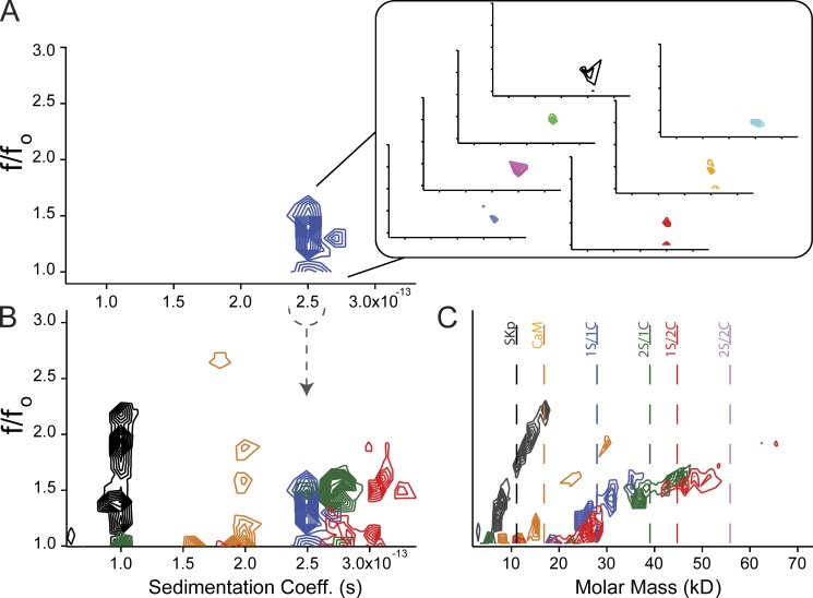 Figure 11.