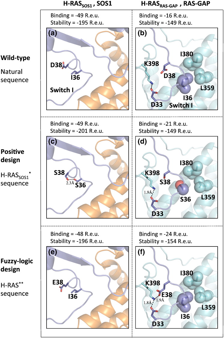 Fig. 3