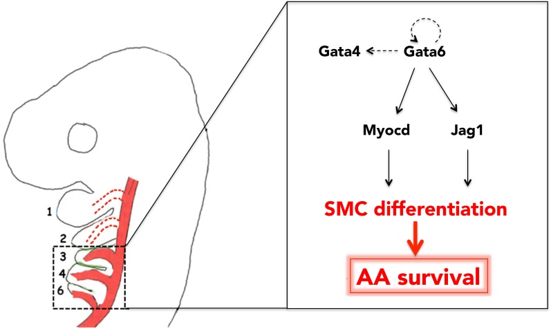 Figure 6.