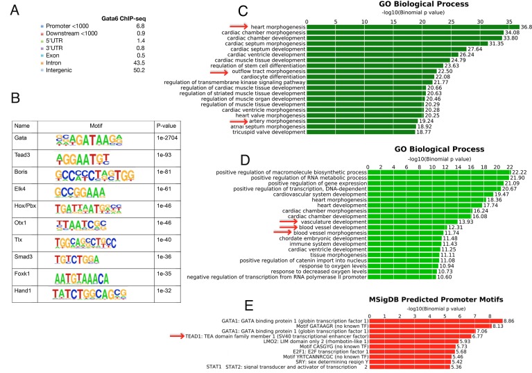 Figure 4—figure supplement 1.