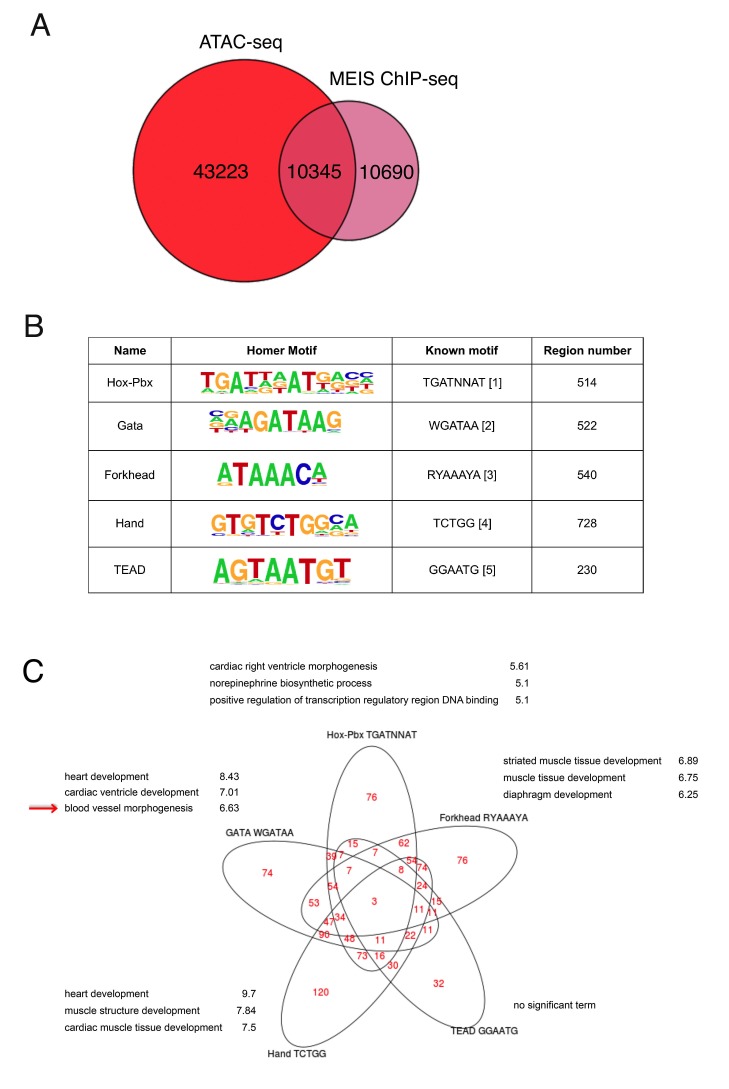 Figure 3—figure supplement 1.