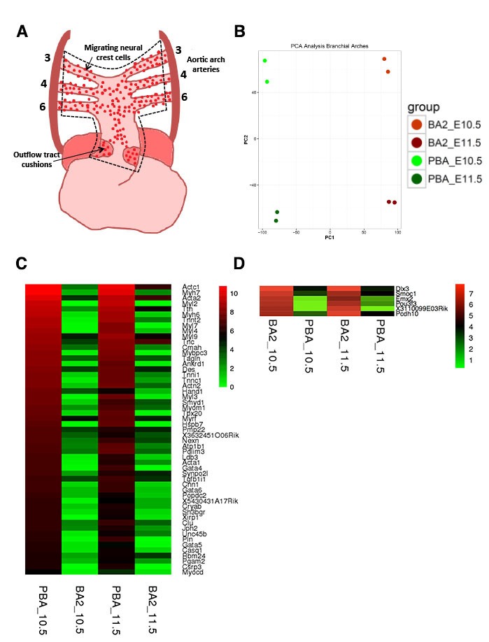 Figure 1—figure supplement 1.