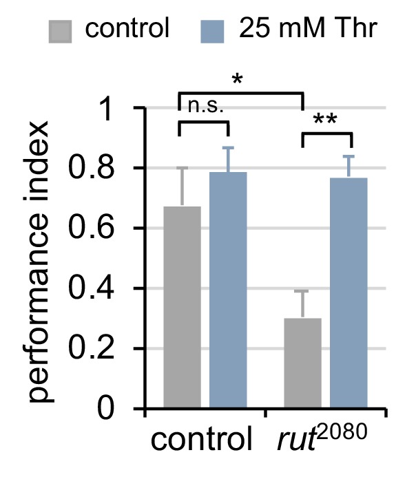 Figure 6—figure supplement 1.