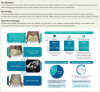 Structured Graphical Abstract