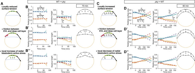 Figure 6