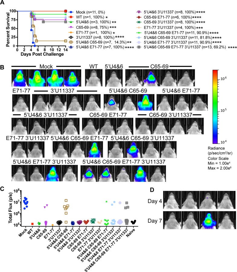 Fig 6