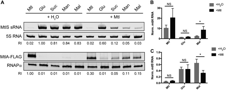 FIG 2