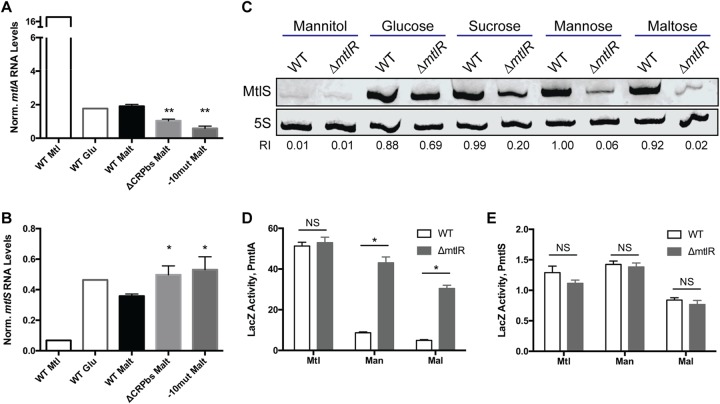 FIG 4