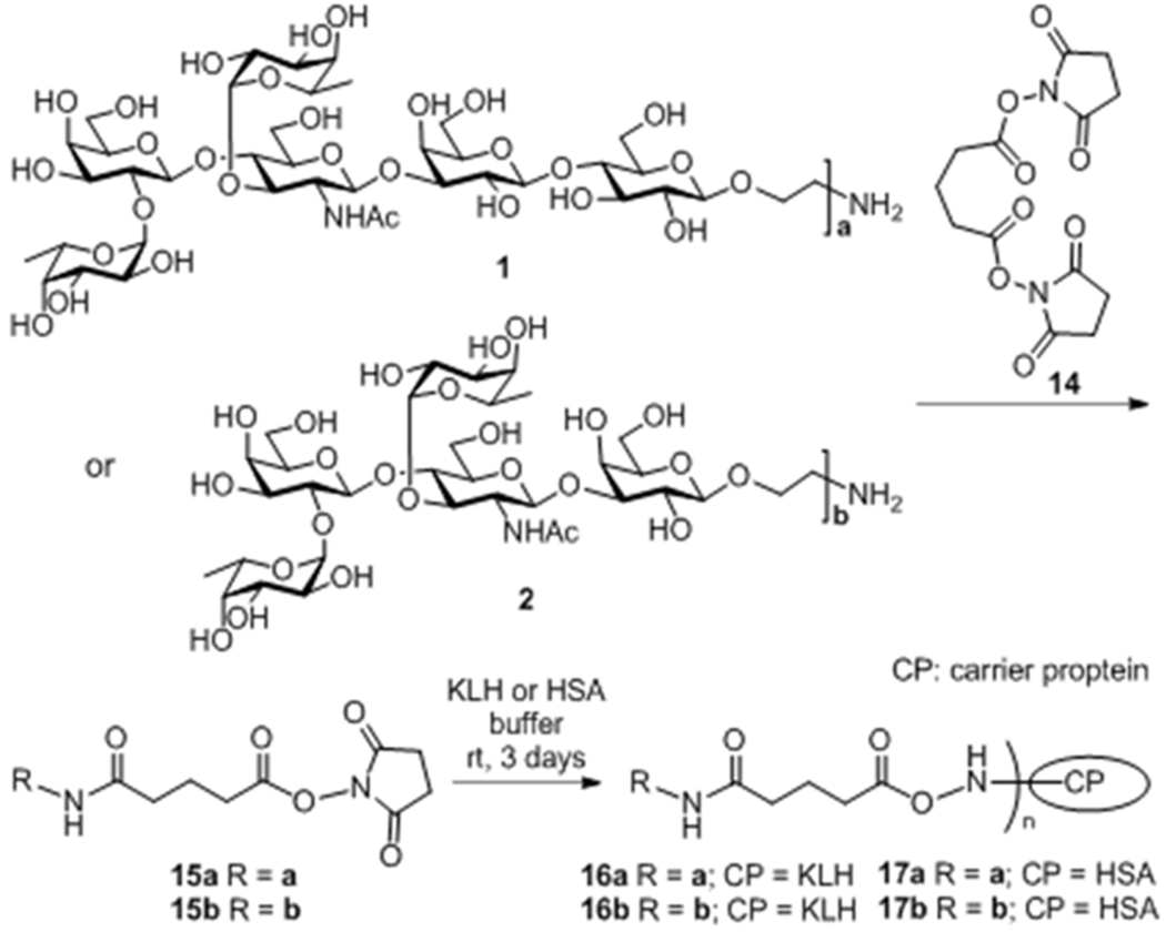 Scheme 3.