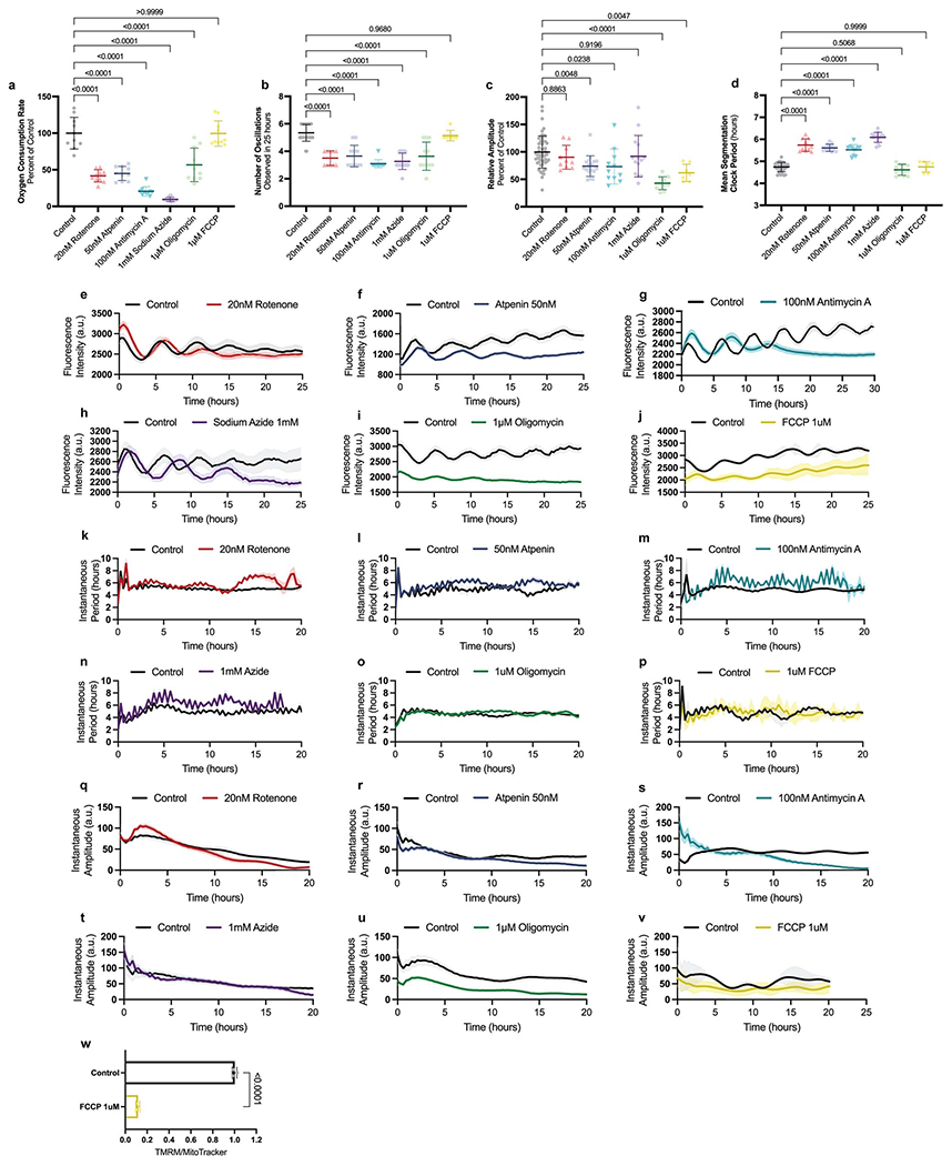 Extended Data Figure 5.