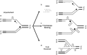 Fig 7
