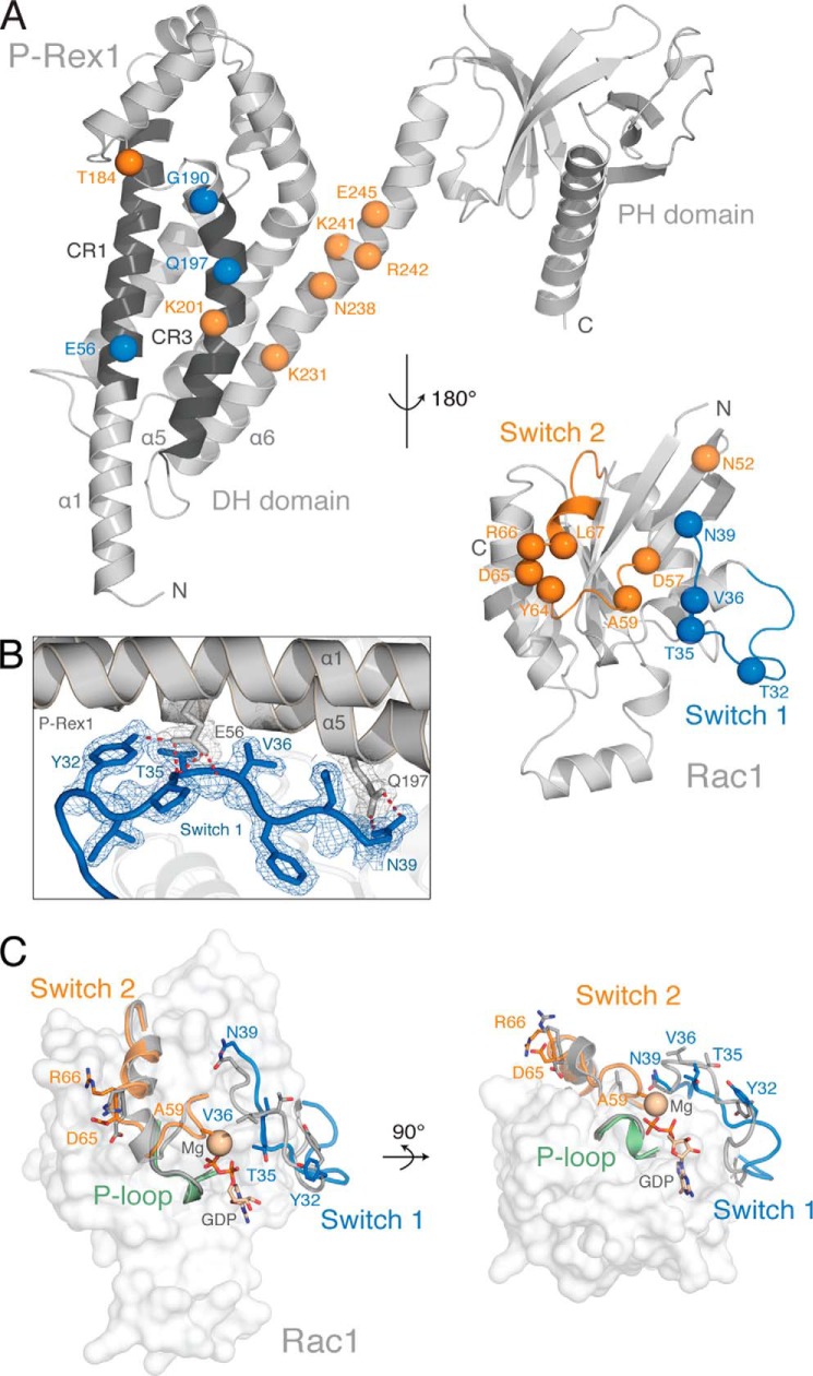 FIGURE 2.