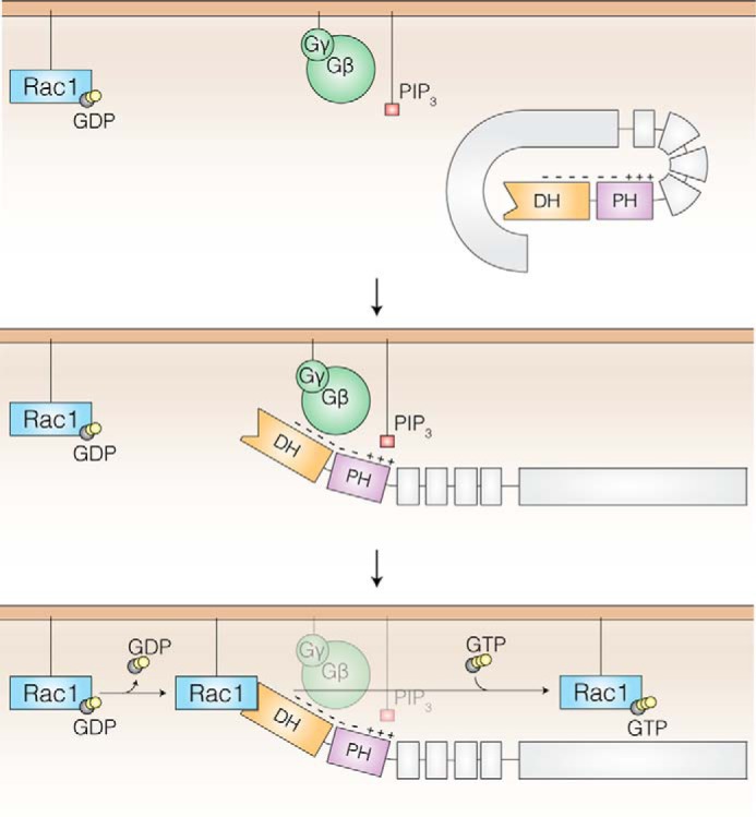 FIGURE 7.