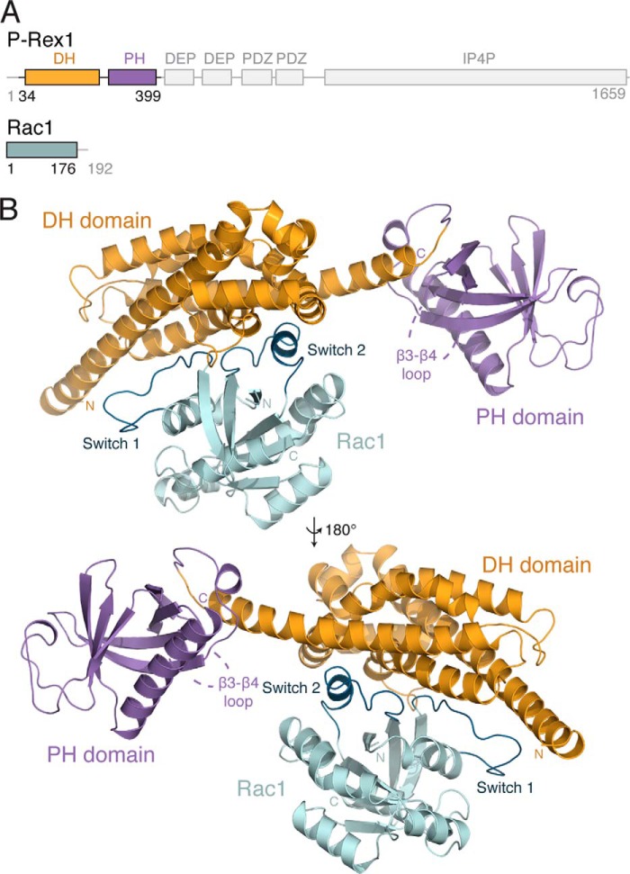 FIGURE 1.