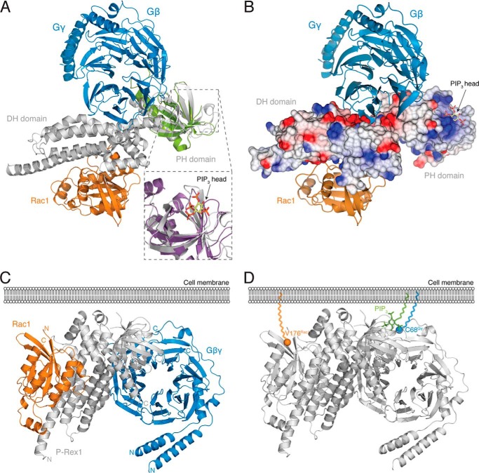 FIGURE 6.