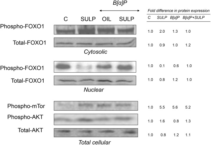 Fig 8