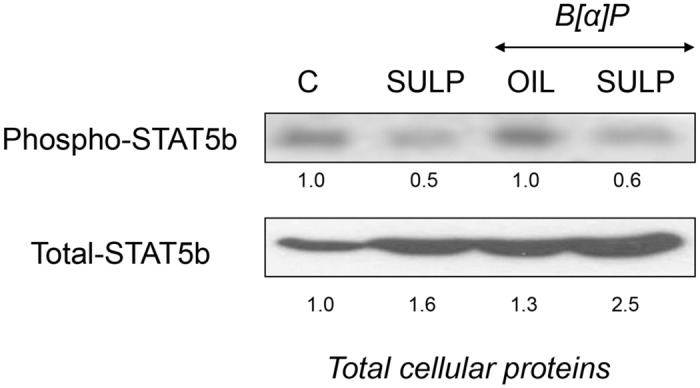 Fig 9