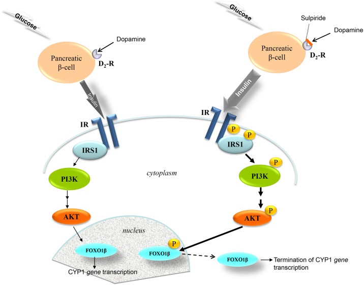 Fig 7