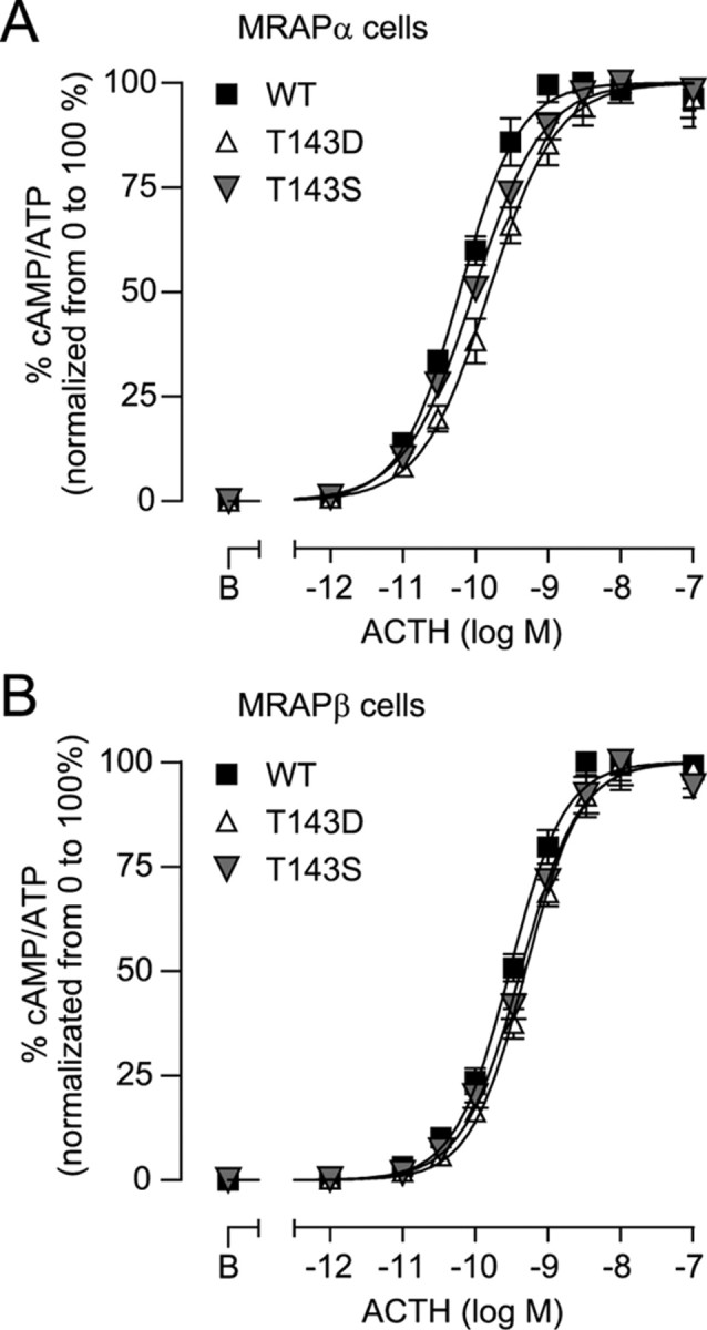 Fig. 12.