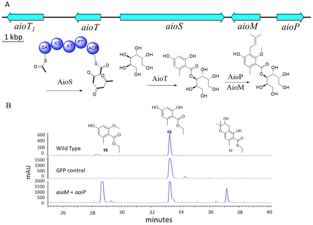 Figure 6.