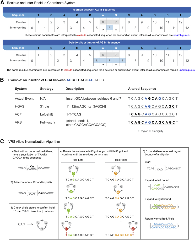 Figure 3