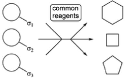 Scheme 4