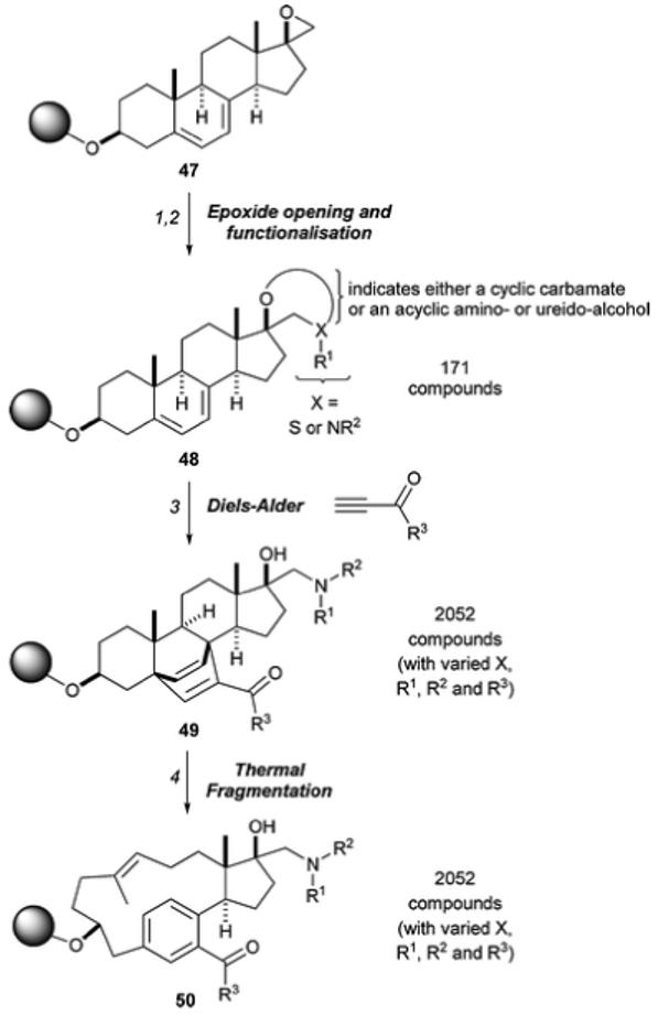 Scheme 15