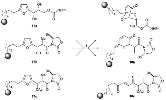 Scheme 5