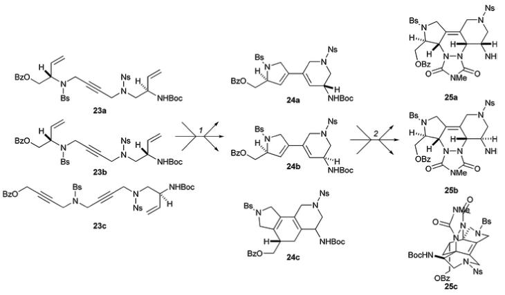 Scheme 8