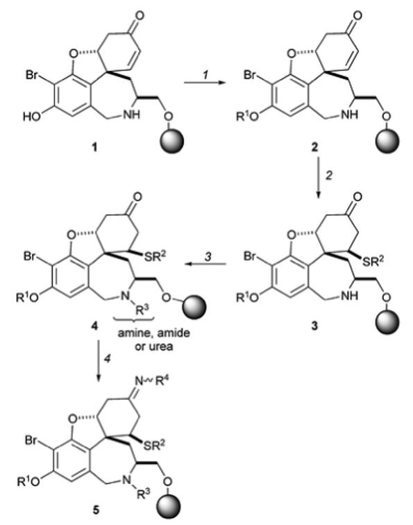 Scheme 1