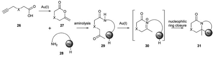 Scheme 9