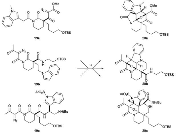 Scheme 6