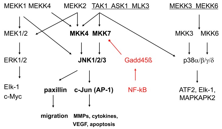 Fig. (1)