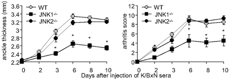 Fig. (5)