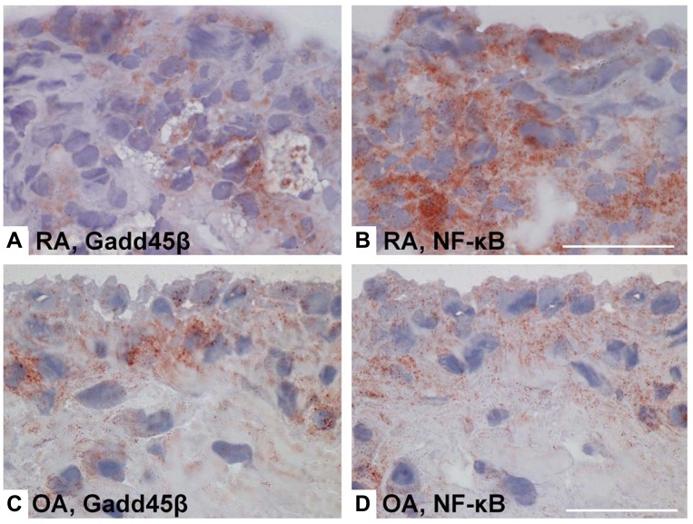 Fig. (4)