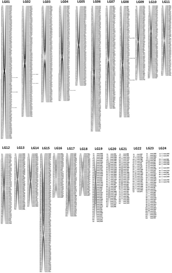 Fig. 3