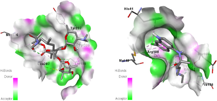 Fig. 9