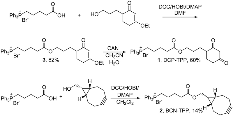 Scheme 1.